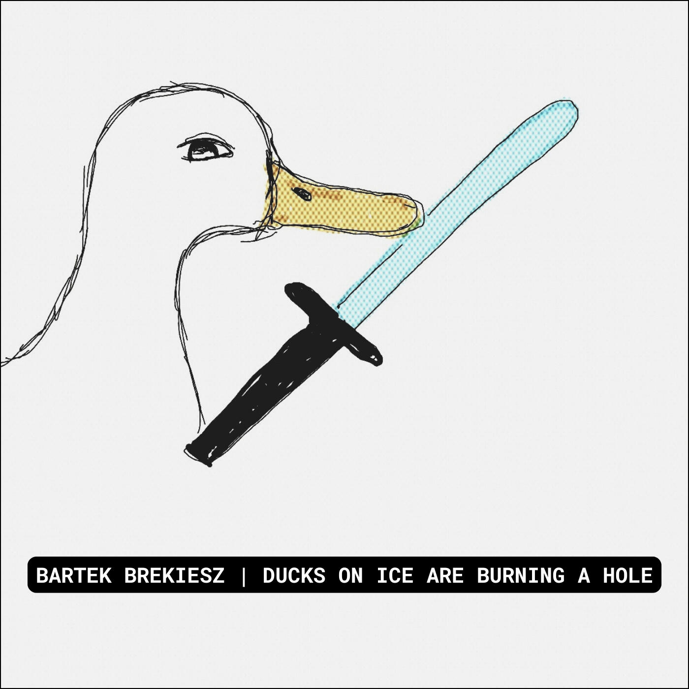 DUCKS ON ICE ARE BURNING A HOLE